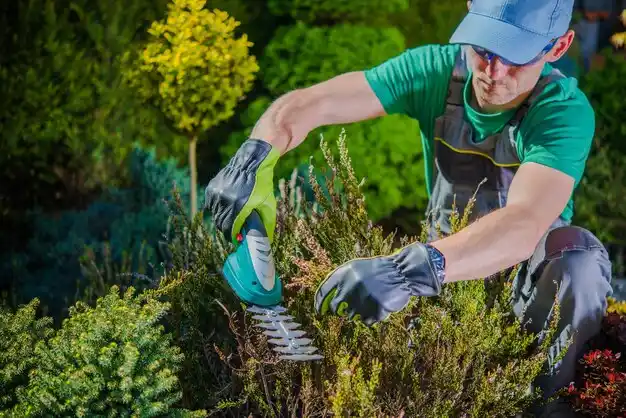 landscaping services Coolville